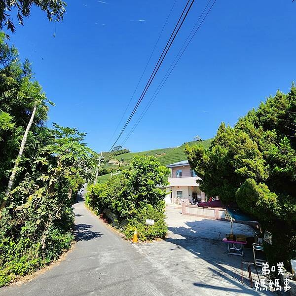 【嘉義】海鼠山1314觀景台