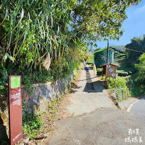 【嘉義】海鼠山1314觀景台