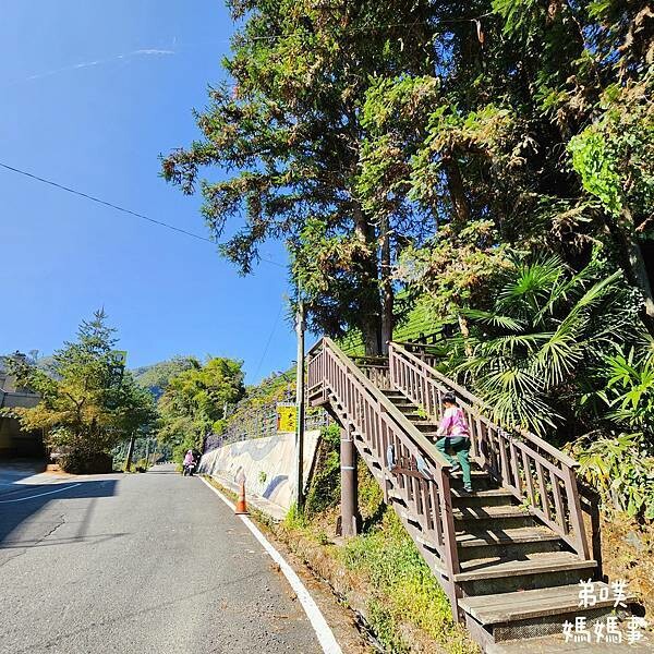 【嘉義‧梅山】走路不用5分鐘就能看到絕美山景茶園-瑞里農會旁的步道茶園，0距離茶園美拍，懶人步道好美好拍