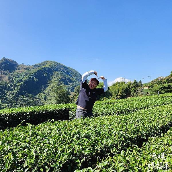 【嘉義‧梅山】走路不用5分鐘就能看到絕美山景茶園-瑞里農會旁的步道茶園，0距離茶園美拍，懶人步道好美好拍