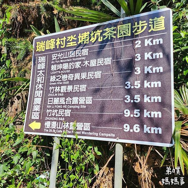 【嘉義‧梅山】走路不用5分鐘就能看到絕美山景茶園-瑞里農會旁的步道茶園，0距離茶園美拍，懶人步道好美好拍