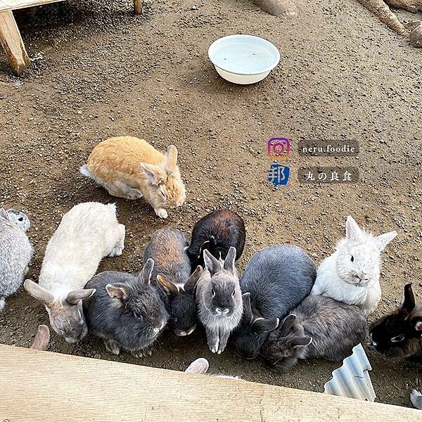 日本別府地獄｜九州別府景點推薦 @neru.foodie / 丸の良食