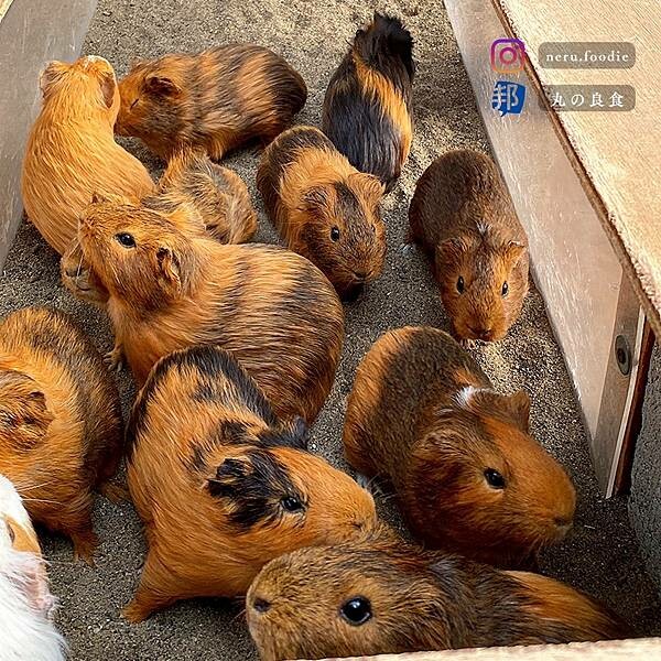 日本別府地獄｜九州別府景點推薦 @neru.foodie / 丸の良食