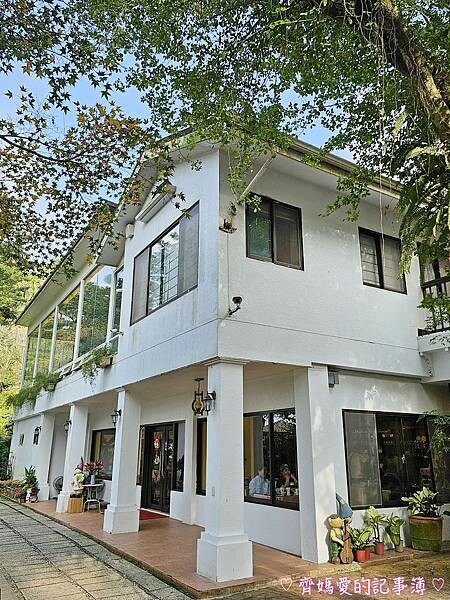 台中新社.桃李河畔景觀餐廳 (白雪木 / 黃金楓 / 萬壽菊 台中新社.桃李河畔景觀餐廳 (白雪木 / 黃金楓 / 萬壽菊