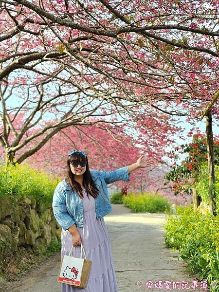 南投水里．阿本農場櫻花園 (櫻花 /油菜花)