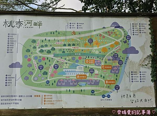 台中新社.桃李河畔景觀餐廳 (白雪木 / 黃金楓 / 萬壽菊 台中新社.桃李河畔景觀餐廳 (白雪木 / 黃金楓 / 萬壽菊