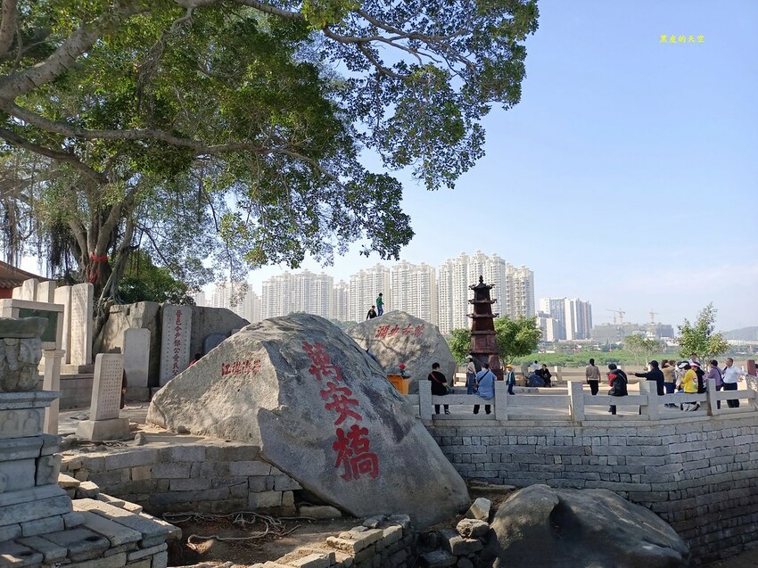 2023 1210福建泉州洛陽橋010