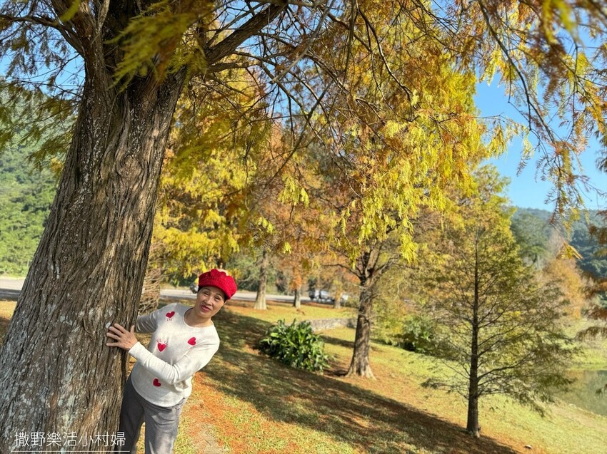 一年四季都好拍的秘境【蜊埤湖】絕美湖光山色倒影,肥肥鴨鵝戲水 一年四季都好拍的秘境【蜊埤湖】絕美湖光山色倒影,肥肥鴨鵝戲水