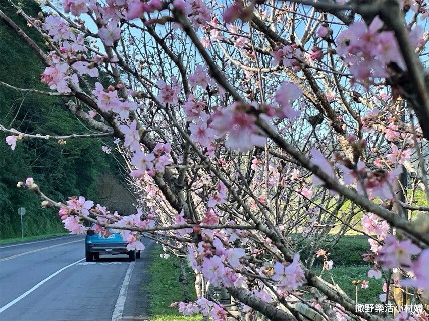 IMG_5500 - 複製.JPG