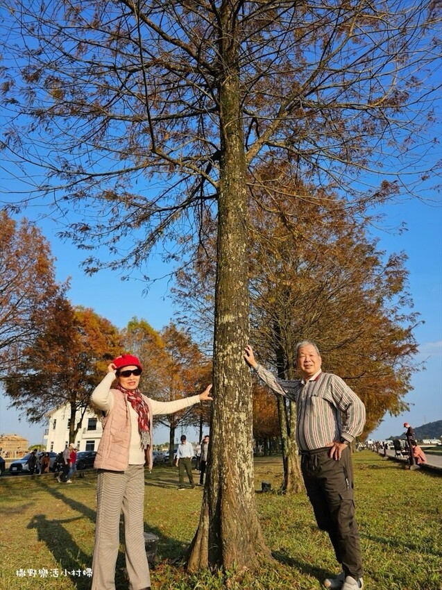 潺潺流水安農溪畔,最唯美的落羽松林|宜蘭三星景點