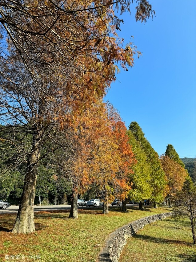 一年四季都好拍的秘境【蜊埤湖】絕美湖光山色倒影,肥肥鴨鵝戲水 一年四季都好拍的秘境【蜊埤湖】絕美湖光山色倒影,肥肥鴨鵝戲水