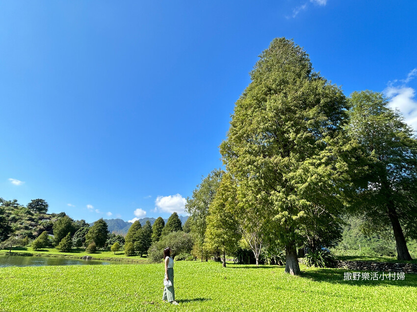 一年四季都好拍的秘境【蜊埤湖】絕美湖光山色倒影,肥肥鴨鵝戲水 一年四季都好拍的秘境【蜊埤湖】絕美湖光山色倒影,肥肥鴨鵝戲水