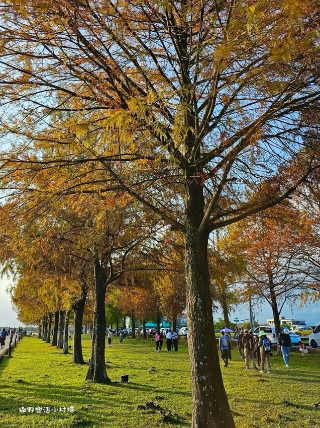 IMG_3958 - 複製.JPG