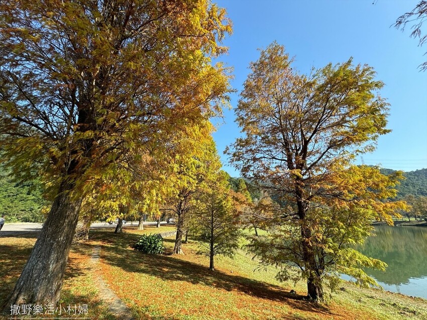 一年四季都好拍的秘境【蜊埤湖】絕美湖光山色倒影,肥肥鴨鵝戲水 一年四季都好拍的秘境【蜊埤湖】絕美湖光山色倒影,肥肥鴨鵝戲水