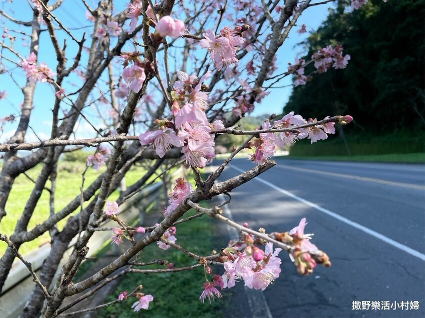 IMG_5498 - 複製.JPG