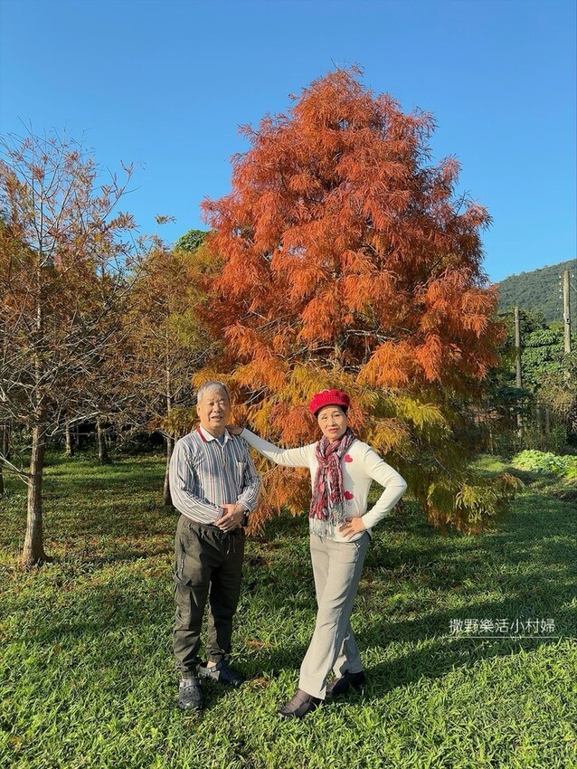 一年四季都好拍的秘境【蜊埤湖】絕美湖光山色倒影,肥肥鴨鵝戲水 一年四季都好拍的秘境【蜊埤湖】絕美湖光山色倒影,肥肥鴨鵝戲水