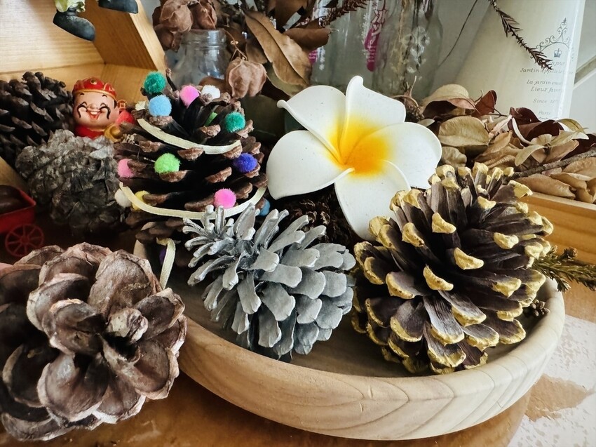 秋天撿果記》大自然的禮物【會呼吸的松果｜帶翅的種子_台灣黃杞