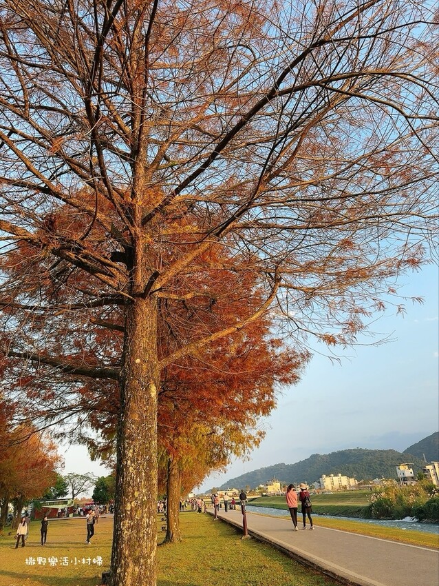 IMG_3954 - 複製.JPG