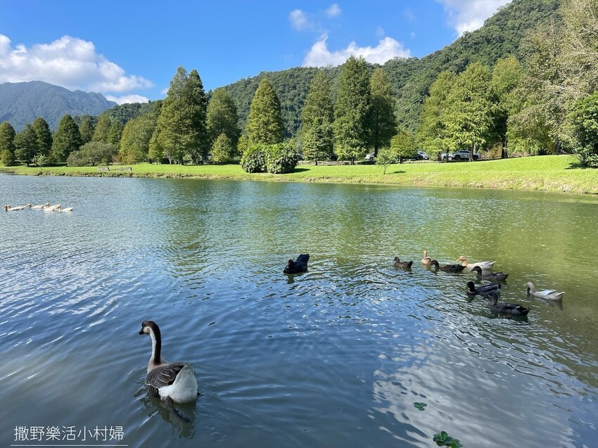 一年四季都好拍的秘境【蜊埤湖】絕美湖光山色倒影,肥肥鴨鵝戲水 一年四季都好拍的秘境【蜊埤湖】絕美湖光山色倒影,肥肥鴨鵝戲水