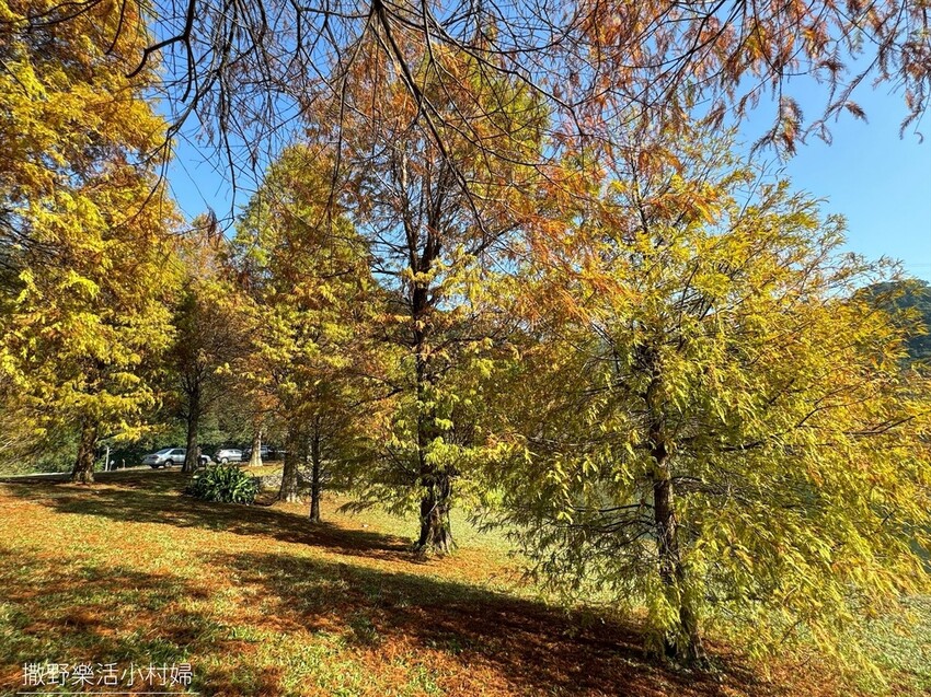 一年四季都好拍的秘境【蜊埤湖】絕美湖光山色倒影,肥肥鴨鵝戲水 一年四季都好拍的秘境【蜊埤湖】絕美湖光山色倒影,肥肥鴨鵝戲水