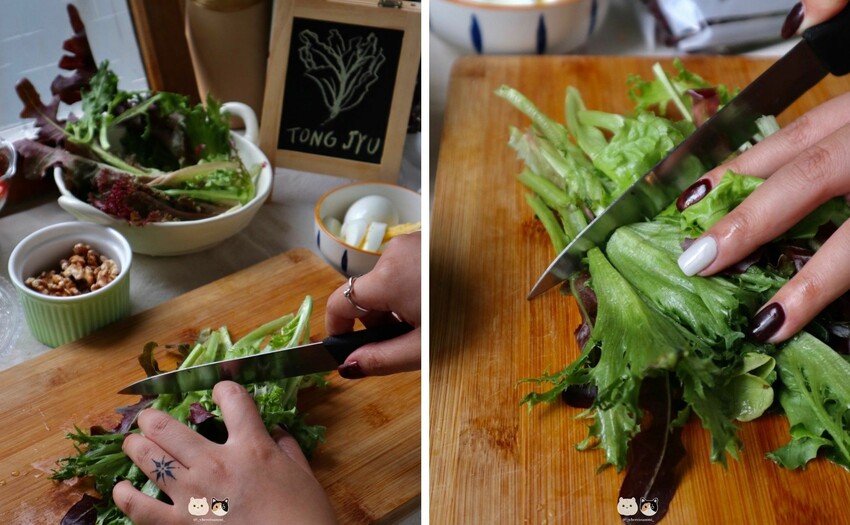 全台線上|統苣有機農場-有機綜合生菜包.含七種有機萵苣美生菜