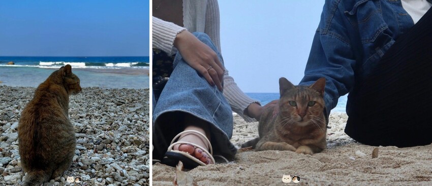 小琉球景點懶人包|一次分享五個超殺記憶體的天然美景.免門票免