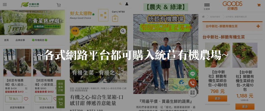 全台線上|統苣有機農場-有機綜合生菜包.含七種有機萵苣美生菜