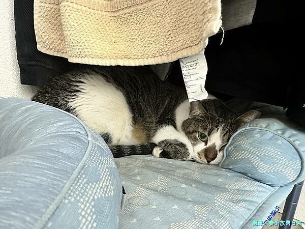 [生活] 讓居家生活更美好 - 居家整聊室