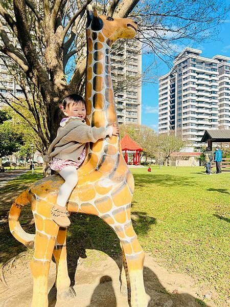 ★桃園●大溪 *埔頂公園* 優美大草皮一起放風趣🪁一次玩三個