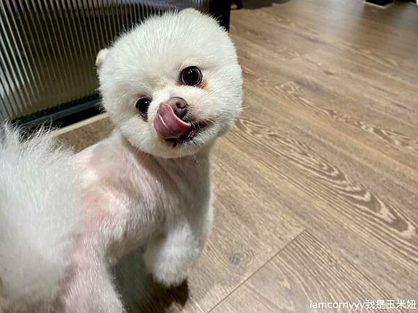 大研創意 韓式證件照9.jpeg