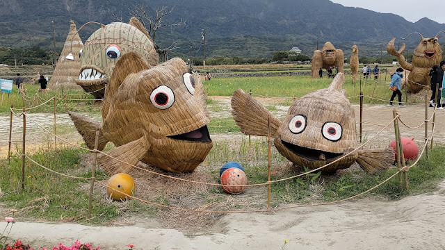 富里花海景觀區 - 小丑魚 - 羅山社區 富里花海景觀區 - 小丑魚 - 羅山社區