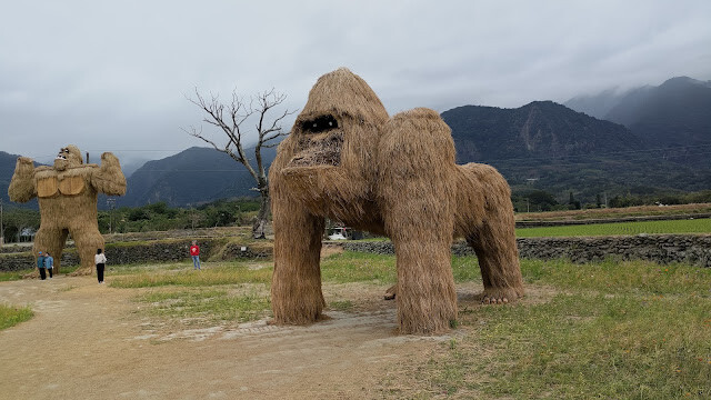 富里花海景觀區 - 眺望猩猩 富里花海景觀區 - 眺望猩猩