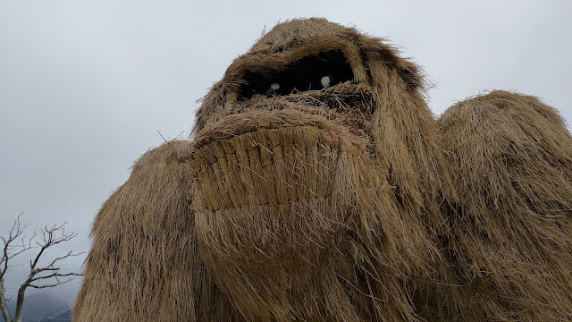 富里花海景觀區 - 眺望猩猩 富里花海景觀區 - 眺望猩猩