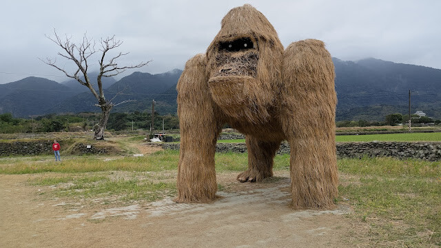 富里花海景觀區 - 眺望猩猩 富里花海景觀區 - 眺望猩猩