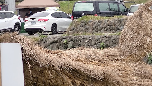 富里花海景觀區 - 真的麻雀 富里花海景觀區 - 真的麻雀