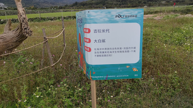 富里花海景觀區 - 大白鯊 - 吉拉米代 富里花海景觀區 - 大白鯊 - 吉拉米代