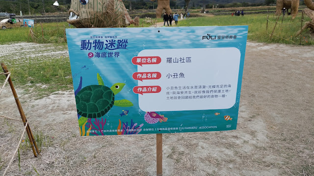 富里花海景觀區 - 小丑魚 - 羅山社區 富里花海景觀區 - 小丑魚 - 羅山社區