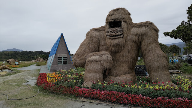 富里花海景觀區 - 花園猩猩 富里花海景觀區 - 花園猩猩