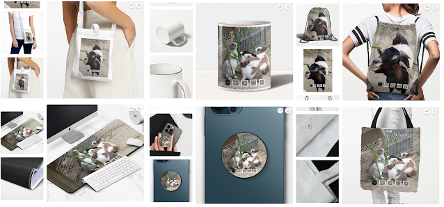 大漠國渡 - 商品小舖 (KUSDOM) 大漠國渡 - 商品小舖 (KUSDOM)