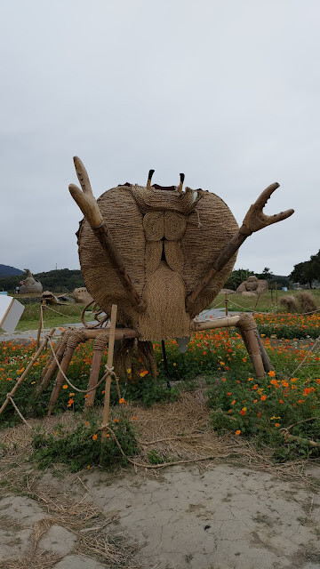 富里花海景觀區 - 螃蟹 - 富里國中 富里花海景觀區 - 螃蟹 - 富里國中