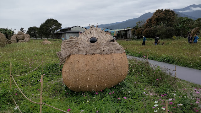 富里花海景觀區 - 股氣河豚 富里花海景觀區 - 股氣河豚