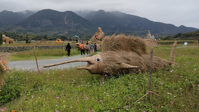 富里花海景觀區 - 金搶魚 富里花海景觀區 - 金搶魚