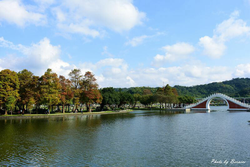 大湖公園落羽松~捷運出站即抵達最輕鬆欣賞落羽松美景的所在 @Bernice的隨手筆記