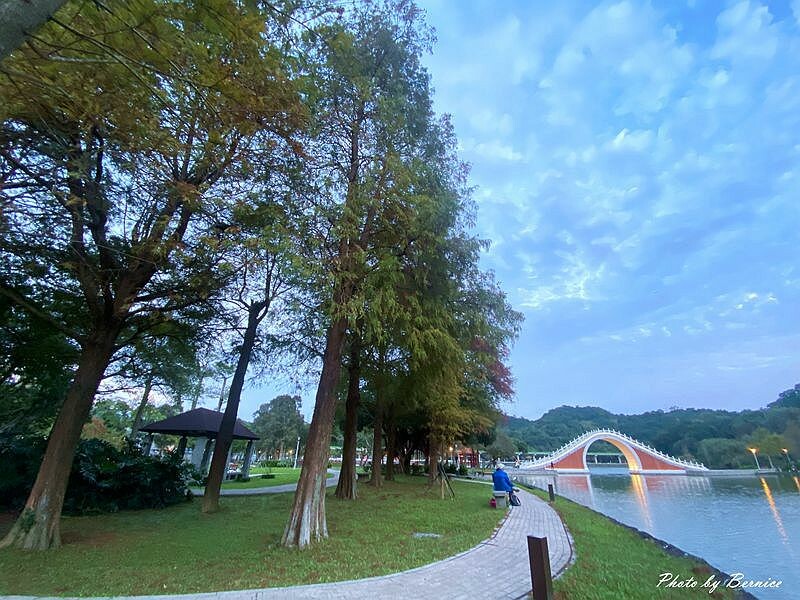 大湖公園落羽松~捷運出站即抵達最輕鬆欣賞落羽松美景的所在 @Bernice的隨手筆記