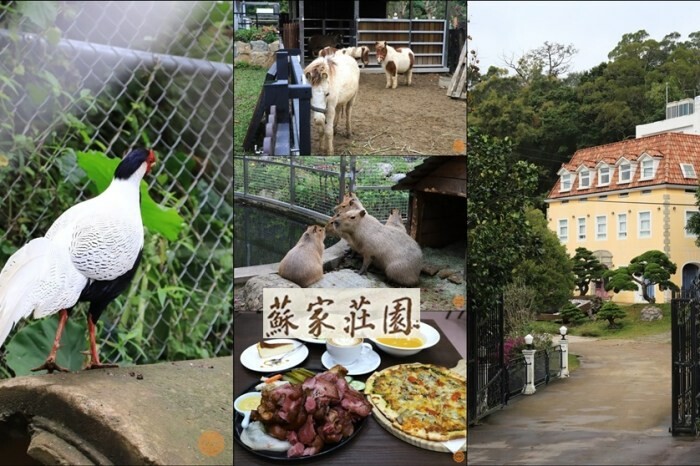 彰化縣鹿港鎮彰化旅遊│鹿港景點│免門票親子一日遊推薦:緞帶王觀光工廠