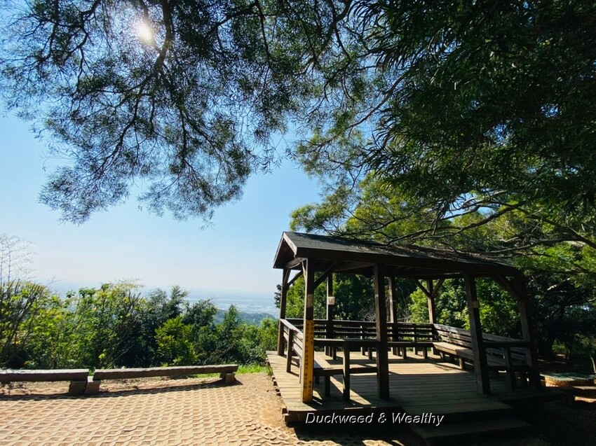 台中市大肚區【台中景點】大肚山萬里長城登山步道|林蔭舒適坡度好走|親子共遊友善步道推薦|