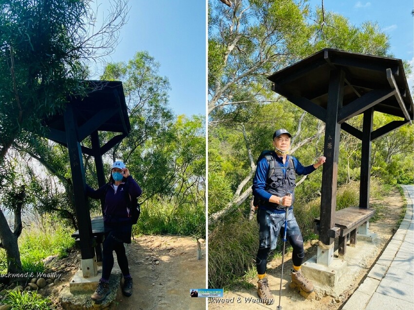 台中市大肚區【台中景點】大肚山萬里長城登山步道|林蔭舒適坡度好走|親子共遊友善步道推薦|