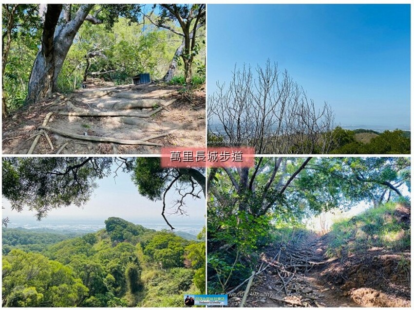 台中市大肚區【台中景點】大肚山萬里長城登山步道|林蔭舒適坡度好走|親子共遊友善步道推薦|