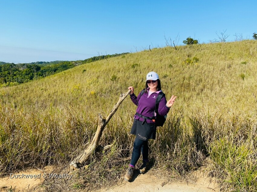 台中市大肚區【台中景點】大肚山萬里長城登山步道|林蔭舒適坡度好走|親子共遊友善步道推薦|