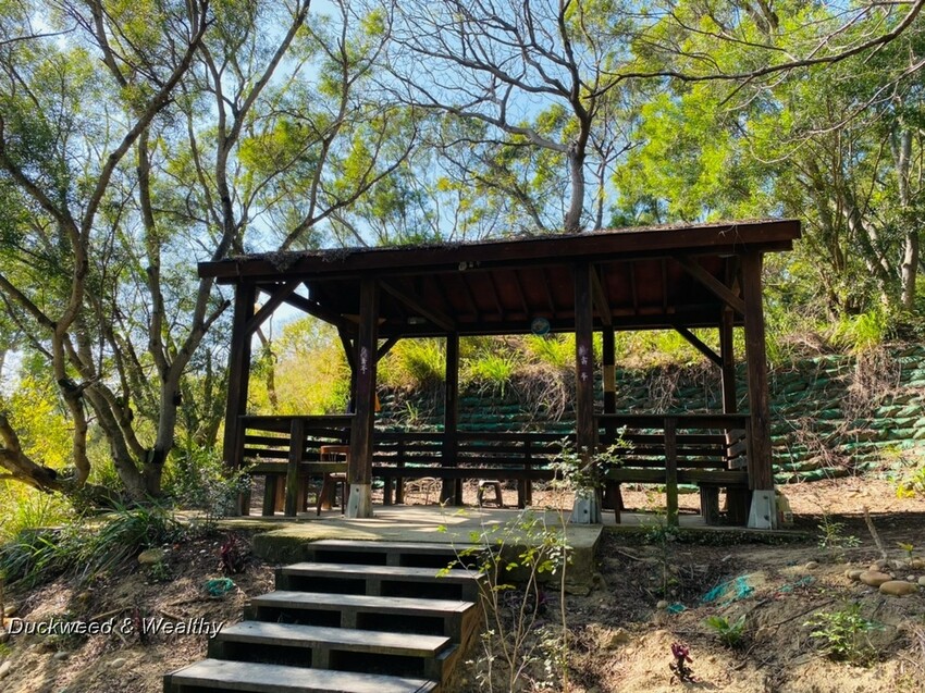 台中市大肚區【台中景點】大肚山萬里長城登山步道|林蔭舒適坡度好走|親子共遊友善步道推薦|